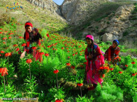 ایران زیبا