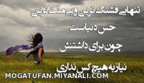 تنهایی...!؟