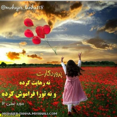 چرا من نه؟