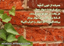 از خوبی ادما دیوار بسازید