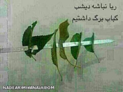 گوارای وجود