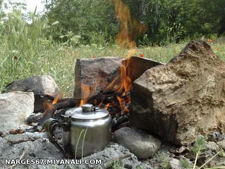 بفرمایید چایی.