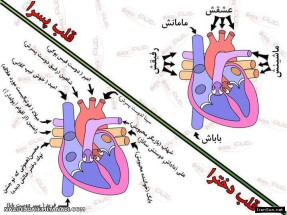 تفاوت و احساس کنید