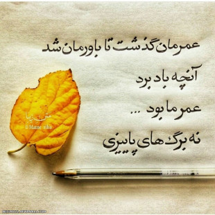 همه چی