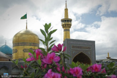 یا امام رضا 