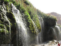 بوزوک دئرمان