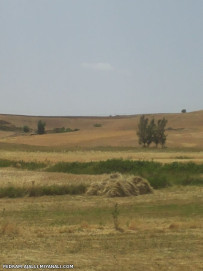 آشنایی با بخش کندوان