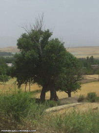 آشنایی با بخش کندوان