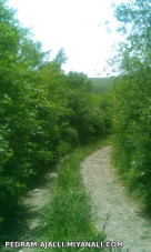 روستای سیدلر