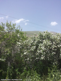 آشنایی با بخش کندوان