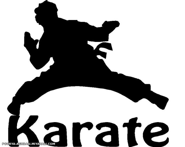 i love KARATE