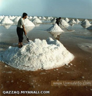 جمع آوری نمک در ساحل دریاچه ارومیه 