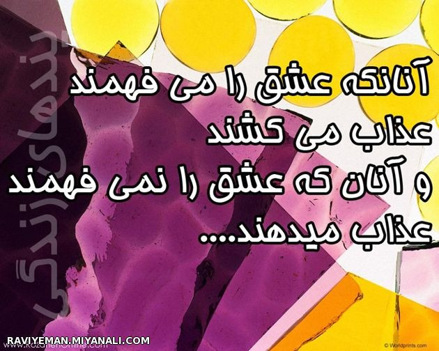 آنانکه عشق را می فهمند....