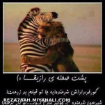 پشت صحنه ی راز بقا؟؟؟؟؟