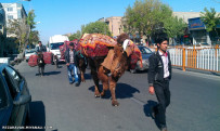 جشن عشایری بهار 1392