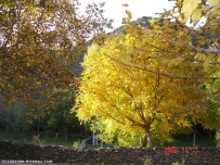 کناره رودخانه سلین روستای متعلق