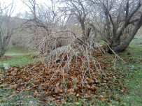 عکس روستای فرهاد آباد.sadat hoseini