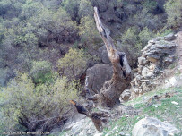 عکس روستای فرهاد آباد.sadat hoseini