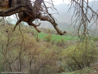 عکس روستای فرهاد آباد.sadat hoseini