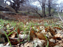 عکس روستای فرهاد آباد.sadat hoseini