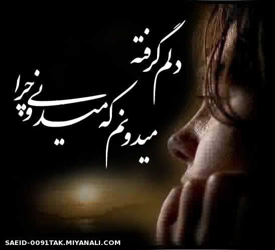 عاشقانه