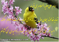 امام علی (ع)