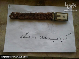 کباب دانشگاه