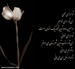 شعر زمان 