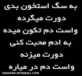 ببخشید یکم  بی ادبه 