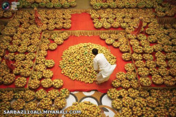 جشنواره انبه در احمدآباد، هند AMIT DAVE/REUTERS