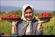 قبل خیلی ارزون بود ولی حالا....