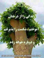 زندگی را... 