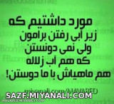 مورد داشتیم