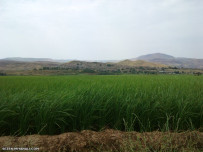 روستای ممان