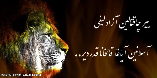 بیر چاقالین آزادلیغی .............