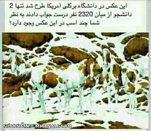 به نظرتون ...