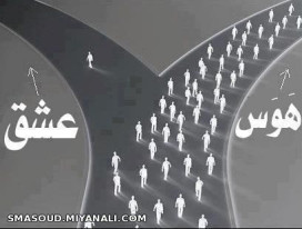 هوس یا عشق