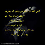 مثل ماهی حوضمان