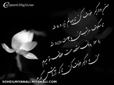 شعر