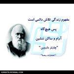 داروین می گوید....