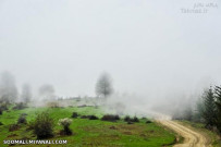 آشنایی با دهکده زیبای مازیچال در کلاردشت !+ تصاویر