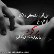 بر گرد ..