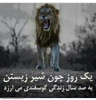 با شرافت زندگی کنین