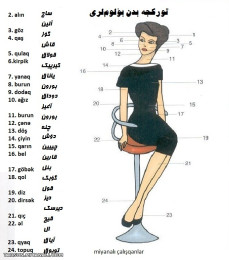 تورکجه بدن بؤلوم لری