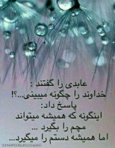 عابد