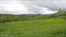 ایی گئجلر(شب بخیر)