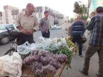 گشت و گذار در میانه