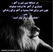 نبینی ضرر کردی