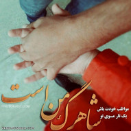 کــوچه باغ دل من