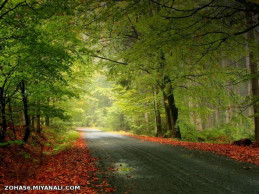  شاید که برگردی 